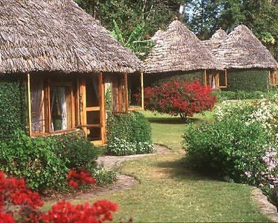 Serena Mountain Village Arusha Extérieur photo